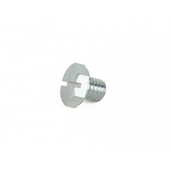 135210-51900 M8 bleed screw/blank plug