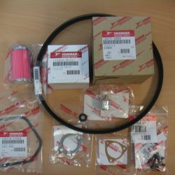 1GM10FSK 1GM10 full service kit