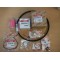 1GM10FSK 1GM10 full service kit