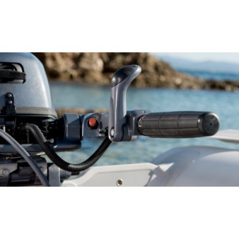 Yamaha Outboard Engine F9.9JMHS Standard Shaft